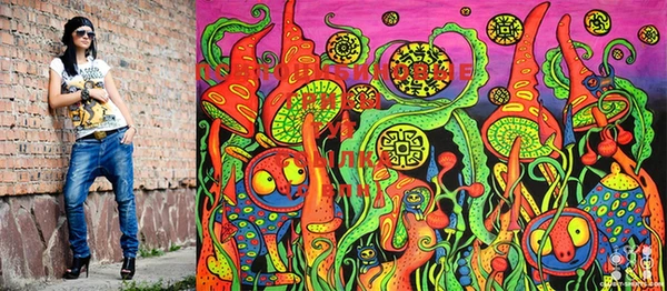 mdma Новодвинск