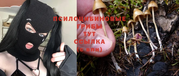 mdma Новодвинск