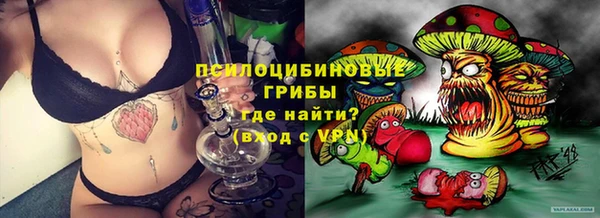герыч Новозыбков