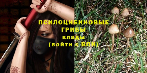 mdma Новодвинск