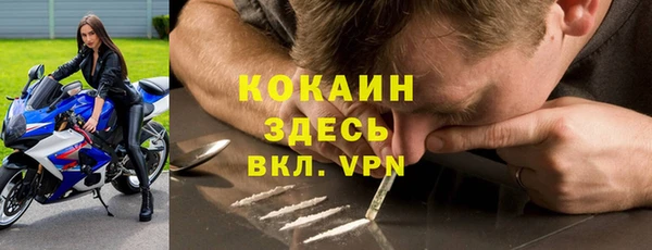 mdma Новодвинск