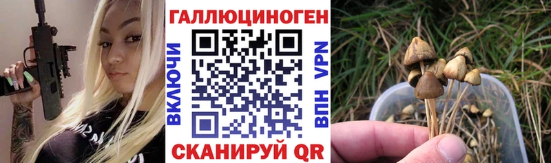 Галлюциногенные грибы GOLDEN TEACHER  Микунь 